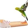 Table Top Mini Bowling Game Set-Tabletop